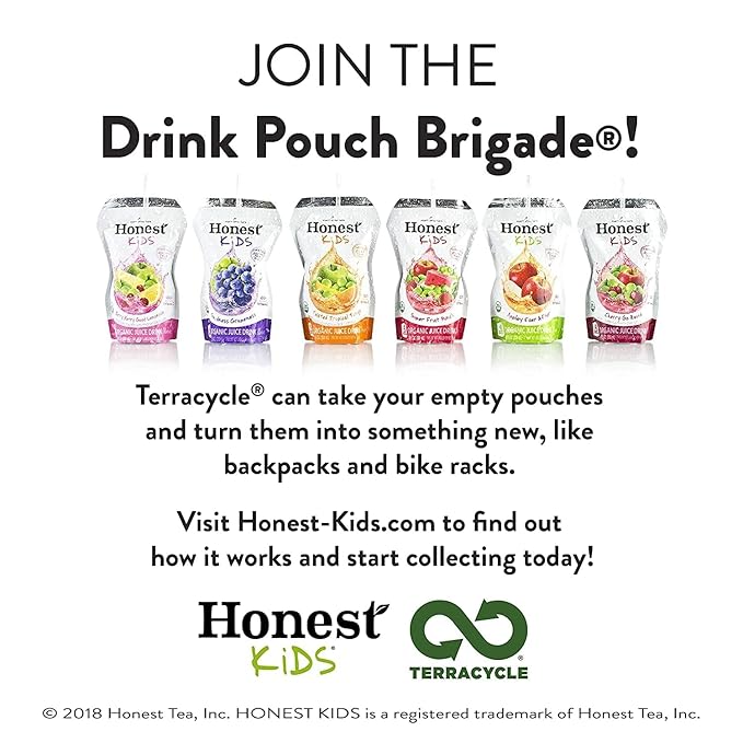 Honest Kids Berry Berry Good Lemonade Juice Drink, 6.75 Fluid Ounce - 8 per pack - 4 packs per case.4