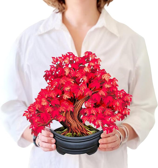 Freshcut Paper Pop Up Cards, Red Maple Tree, 12 Inch Life Sized Forever Flower Bouquet 3D Popup Greeting Card, Autumn Cards, Birthday Card, Blank Notecard & Envelope