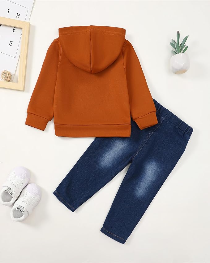 NZRVAWS Baby Boy Clothes Toddler Boy Outfit 2 3 4T 6 12 18 24 Month Fall Winter Hoodie Ripped Jeans Clothing