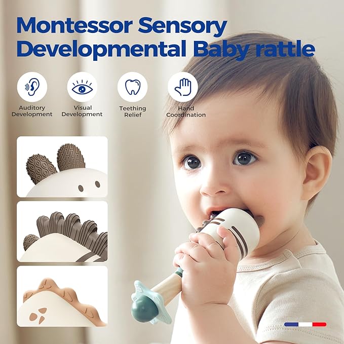 Evoceler Baby Toys, 2 Pac Dinosaur Rattles & Shaker Toys with Teether, Baby Maracas Sensory Toys for 0+M Babies, Soft Silicone BPA Free, Perfect Size for Grasp and Shake, Ideal Baby Boy Girl Toy Gift