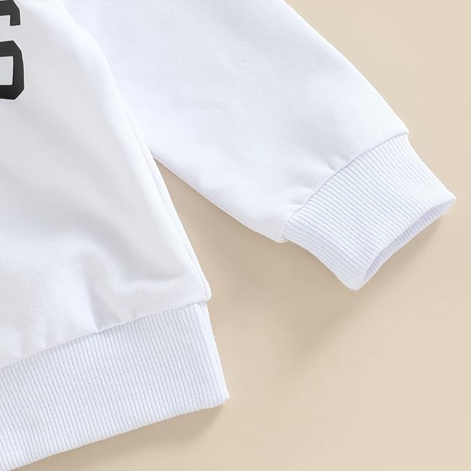 2Pcs Baby Boys Hoodie Tops Pants Set Dinosaur Deer Print Sweatsuit Fall Winter Outfits