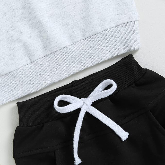 2Pcs Baby Boys Hoodie Tops Pants Set Dinosaur Deer Print Sweatsuit Fall Winter Outfits