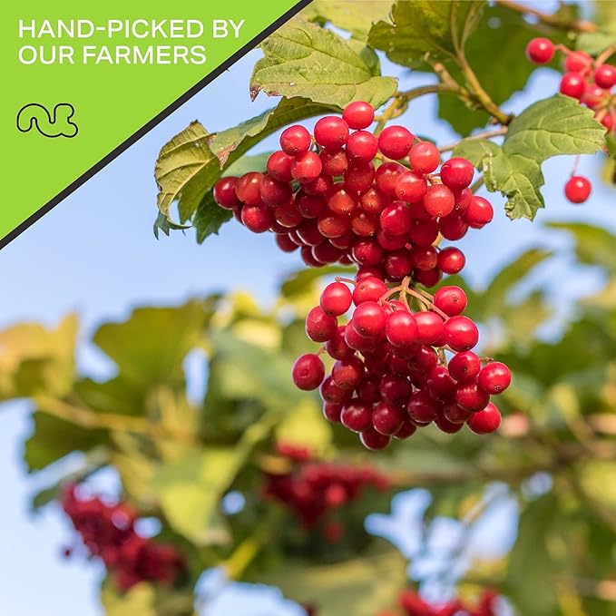 NUT CRAVINGS - Sun Dried Whole Cranberries, Lightly Sweetened (48oz, 3 LB) Bulk Dry Fruits Packed Fresh in Resealable Bag - Sweet Healthy Snack, Naturally Grown, Vegan, Kosher