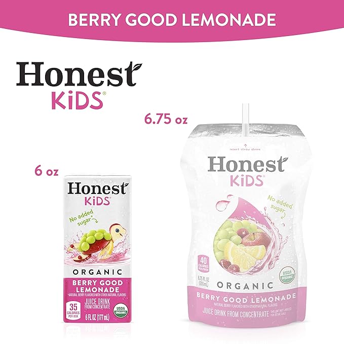 Honest Kids Berry Good Lemonade, Organic Juice Drink, Berry Lemonade, 6 Fl Oz (Pack of 40)