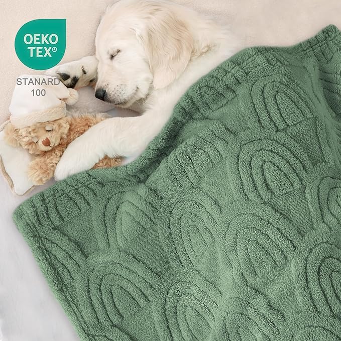 HOMRITAR Baby Blanket for Boys Super Soft Fluffy Fleece Rainbow Blankets Warmer Comfy Reversible Shaggy Cozy for Toddler Baby Nursery Stroller Crib Shower Gifts, Olive, 30 x 40 Inches