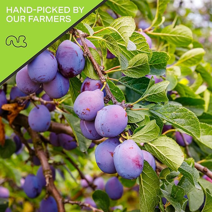 NUT CRAVINGS - Dried Prunes Pitted Unsweetened, Dry Plums No Sugar Added (32oz, 2 LB) Bulk Dry Fruits Packed Fresh in Resealable Bag - Sweet Healthy Snack, Naturally Grown, Vegan, Kosher