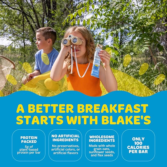 Blake's Seed Based Breakfast Bars with Protein — Blueberry (24 Count), 5g Clean Plant-Based Protein, Gluten Free, Nut Free, Dairy Free & Vegan, Healthy Snacks for Kids or Adults, School Safe