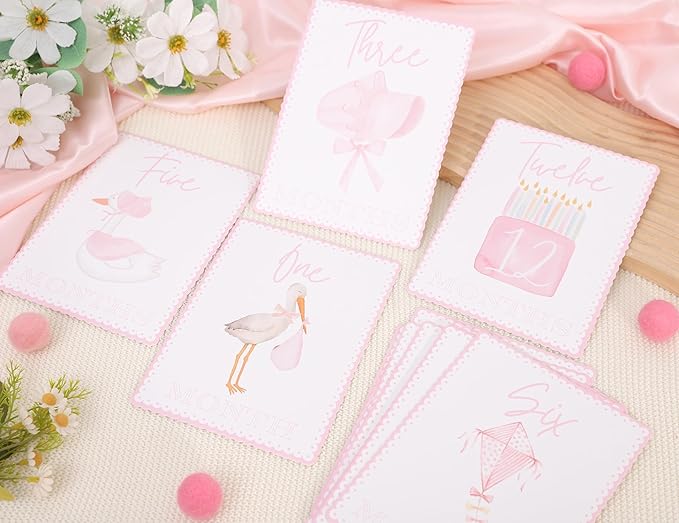 WAUAO Gingham Milestone Monthly Cards - My First Milestone Cards, Baby Shower Photo Props,Baby Milestone Monthly Memories,Boys/Girls Photo Props (pink)