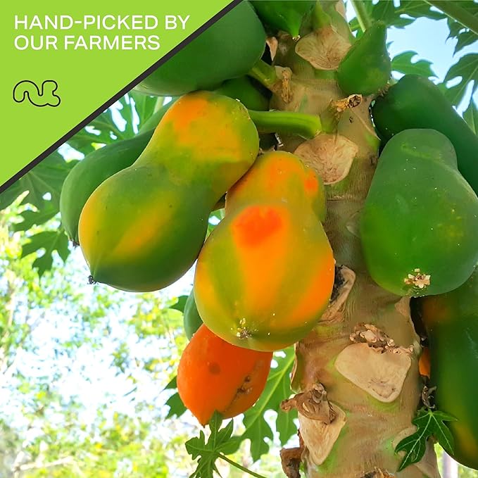 NUT CRAVINGS - Sun Dried Papaya Chunks, Lightly Sweetened (16oz, 1 LB) Bulk Dry Fruits Packed Fresh in Resealable Bag - Sweet Healthy Snack, Naturally Grown, Vegan, Kosher