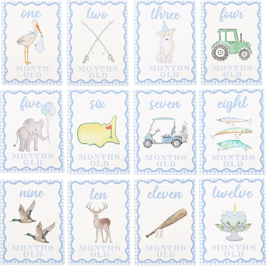 WAUAO Gingham Milestone Monthly Cards - My First Milestone Cards, Baby Shower Photo Props,Baby Milestone Monthly Memories,Boys/Girls Photo Props (blue)