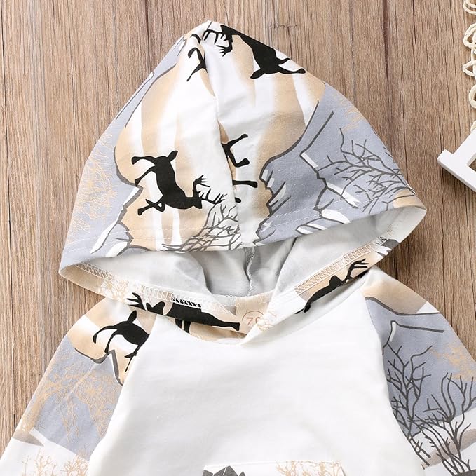 2Pcs Baby Boys Hoodie Tops Pants Set Dinosaur Deer Print Sweatsuit Fall Winter Outfits