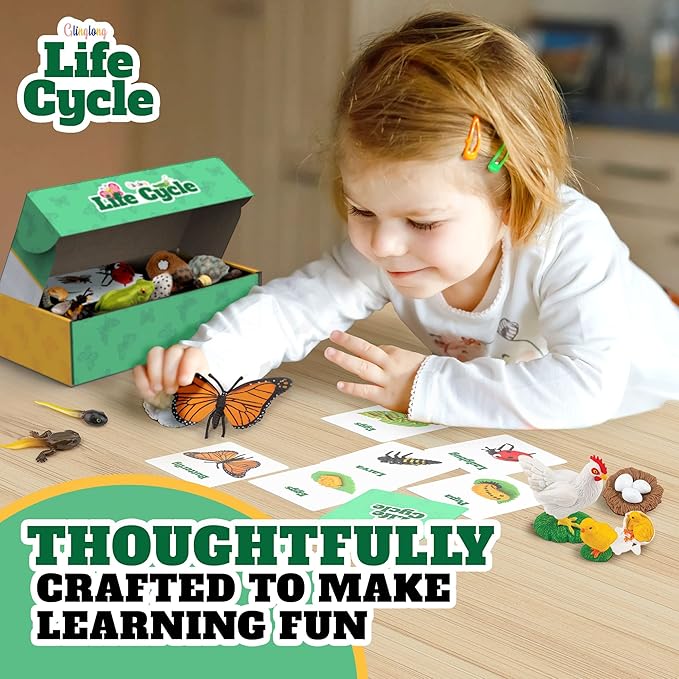Life Cycle Animal Kit - Montessori Science Toy with 24-Piece Matching Game, Includes Butterfly, Frog, Chicken, Bee, Ladybug & Turtle STEM Educational Gift for Kids Ages 3 4 5 6 7 8