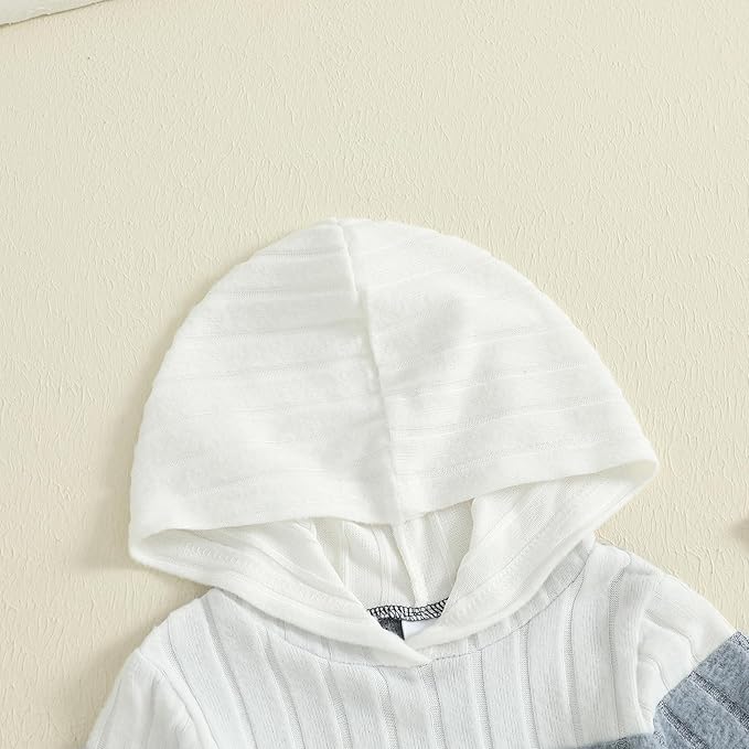 2Pcs Baby Boys Hoodie Tops Pants Set Dinosaur Deer Print Sweatsuit Fall Winter Outfits