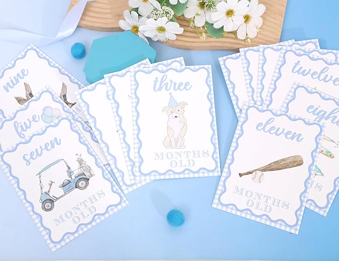 WAUAO Gingham Milestone Monthly Cards - My First Milestone Cards, Baby Shower Photo Props,Baby Milestone Monthly Memories,Boys/Girls Photo Props (blue)
