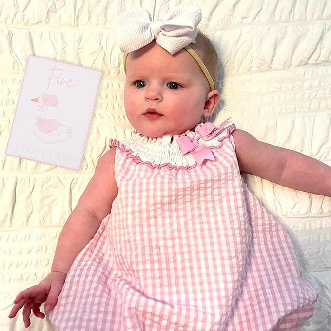 WAUAO Gingham Milestone Monthly Cards - My First Milestone Cards, Baby Shower Photo Props,Baby Milestone Monthly Memories,Boys/Girls Photo Props (pink)
