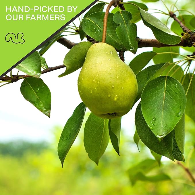 NUT CRAVINGS - Sun Dried California Pears, No Sugar Added (8oz, 1 Pack) Bulk Dry Fruits Packed Fresh in Resealable Bag - Sweet Healthy Snack, Naturally Grown, Vegan, Kosher