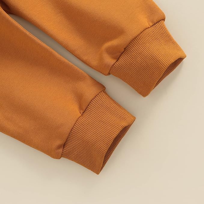 CIYCUIT Toddler Baby Boy Clothes Long Sleeve Sweatshirt Pants Set Fall Winter Outfits