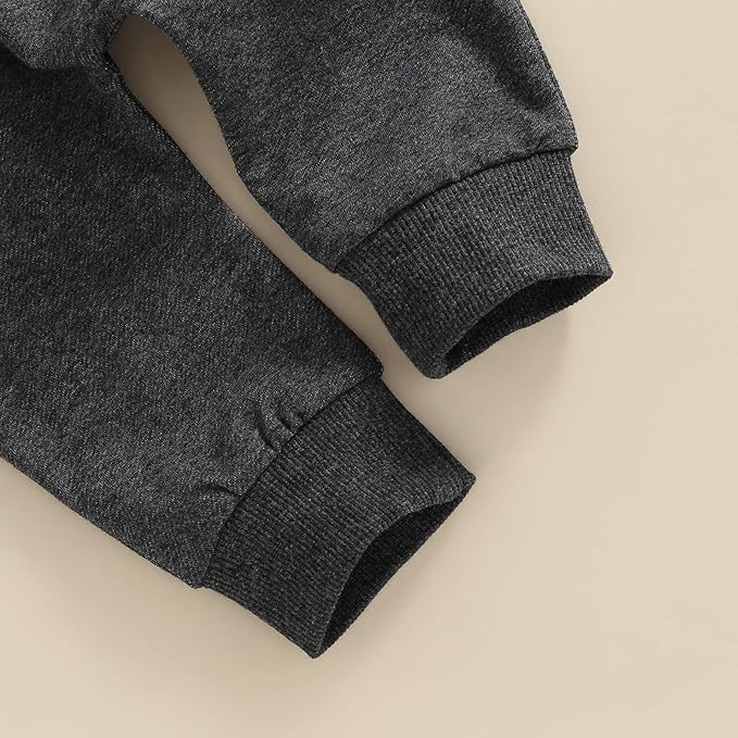 2Pcs Baby Boys Hoodie Tops Pants Set Dinosaur Deer Print Sweatsuit Fall Winter Outfits