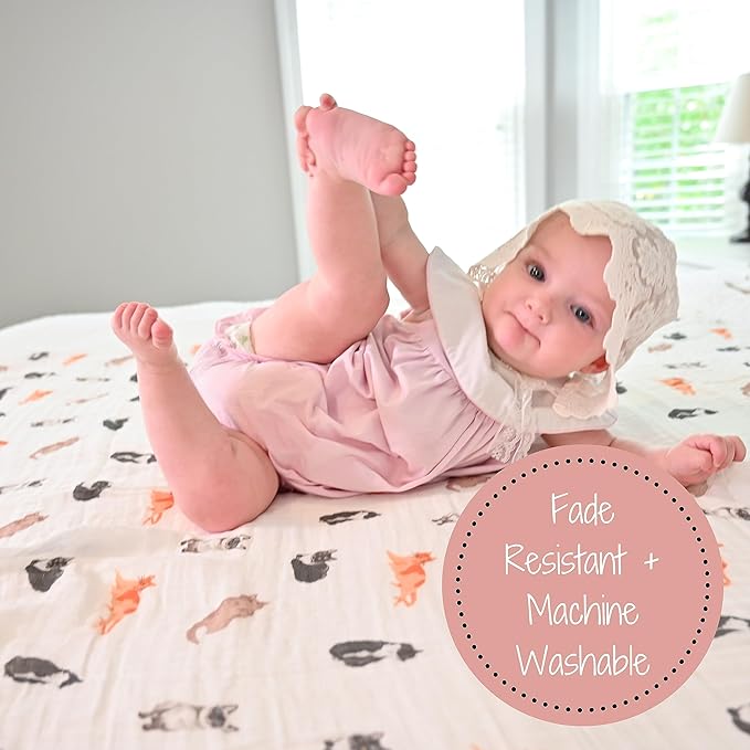 LollyBanks Swaddle Blanket for Boys and Girls, 100% Cotton Muslin Swaddle Blankets for Newborn Baby, Large 47 x 47 Inches Soft and Breathable Receiving Blanket, Baby Essentials, Registry (Cat Print)