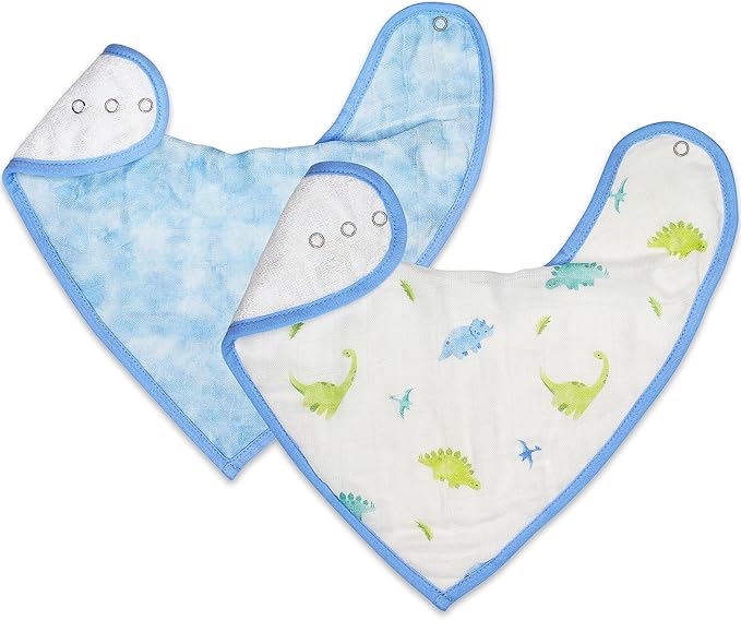 Bamboo Little Baby Bibs (Pack of 2) - Bibs with Adjustable Snaps- Absorbent Terry Backing