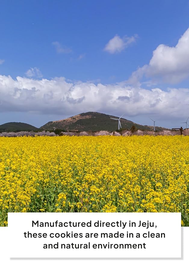 Korean Food JEKISS Jeju Island Tangerine Pie (7.90oz, 8ea) from Jeju Island, Korean Dessert, Korean Snack, gift from Korea, Individually packed