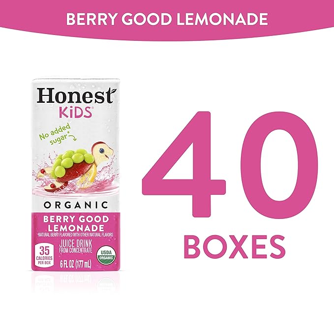 Honest Kids Berry Good Lemonade, Organic Juice Drink, Berry Lemonade, 6 Fl Oz (Pack of 40)