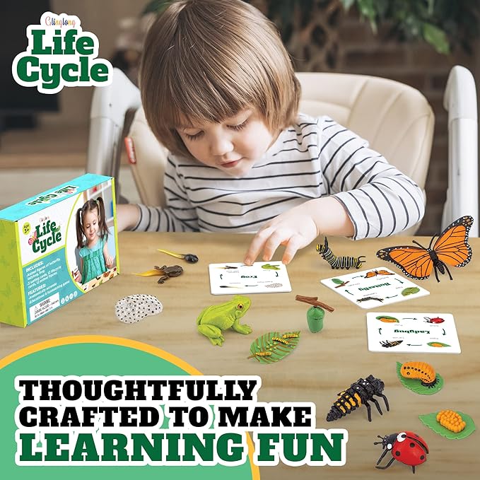 Life Cycle Animal Kit - 12-Piece Montessori Science Toy with Frog, Ladybug & Butterfly Figures. Matching Game & Educational Gift for Kids Ages 3 4 5 6 7 8