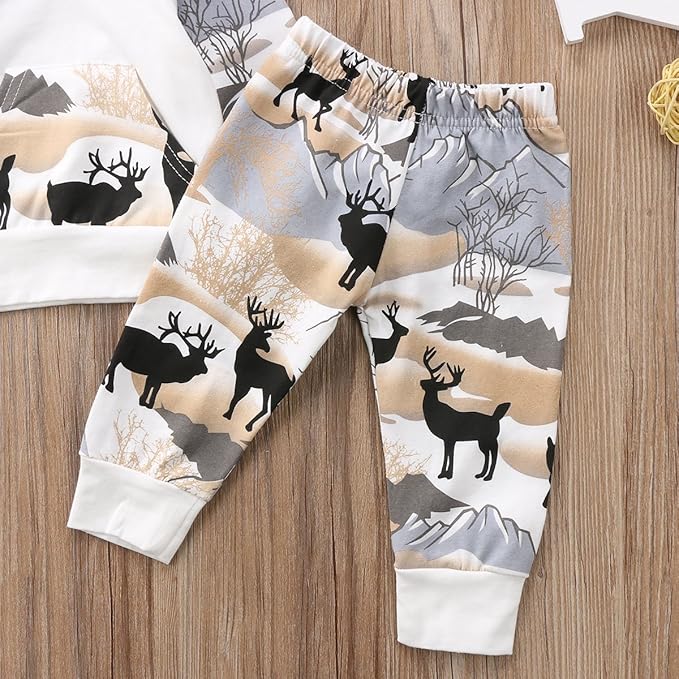 2Pcs Baby Boys Hoodie Tops Pants Set Dinosaur Deer Print Sweatsuit Fall Winter Outfits