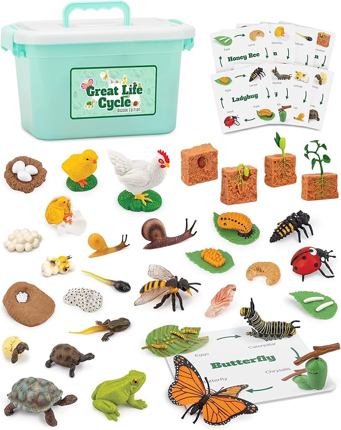 Life Cycle Animal Kit - 32 Piece Montessori Science Toy with Frog, Ladybug, Butterfly, Bee, Chicken, Turtle, Snail & Plant Figurines. Matching Game & STEM Educational Gift for Kids Ages 3–8