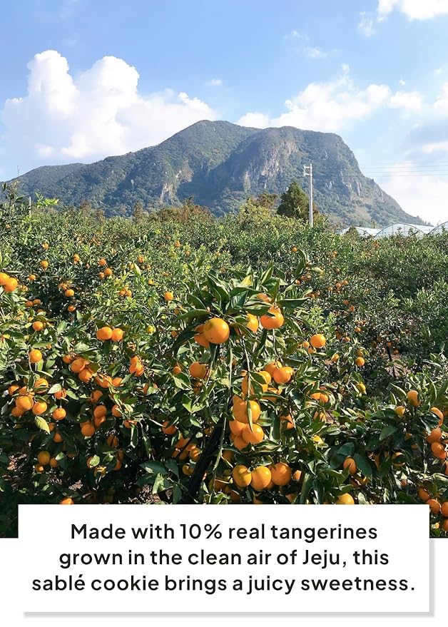 Korean Food JEKISS Jeju Mandarin Sable Sand Cookies 10ea – Crunchy Butter Biscuit with Jeju Mandarin Cream, Individually Wrapped Pieces, Perfect for Gifting (180g)