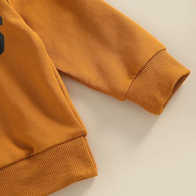 2Pcs Baby Boys Hoodie Tops Pants Set Dinosaur Deer Print Sweatsuit Fall Winter Outfits