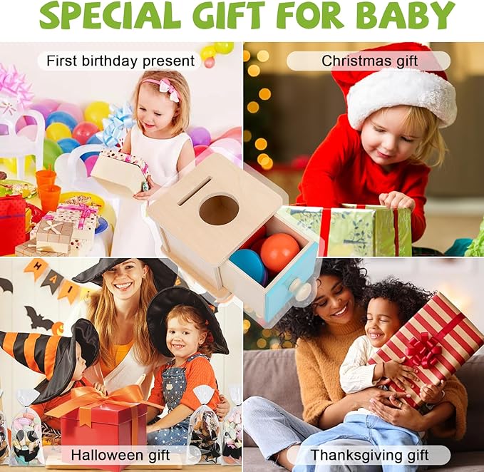 Adena Montessori Infant Toddlers Coin Box Montessori Toys for 6-12 Months Babies 1 Year 2 Year Old (2 in 1,Coin&Ball, Blue Door)