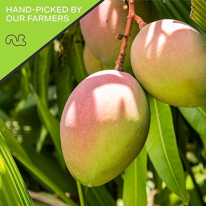 NUT CRAVINGS - Sun Dried Mango Slices, Lightly Sweetened (8oz, 1 Pack) Bulk Dry Fruits Packed Fresh in Resealable Bag - Sweet Healthy Snack, Naturally Grown, Vegan, Kosher