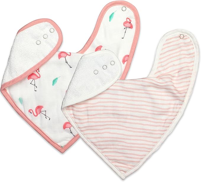 Bamboo Little Baby Bibs (Pack of 2) - Bibs with Adjustable Snaps- Absorbent Terry Backing