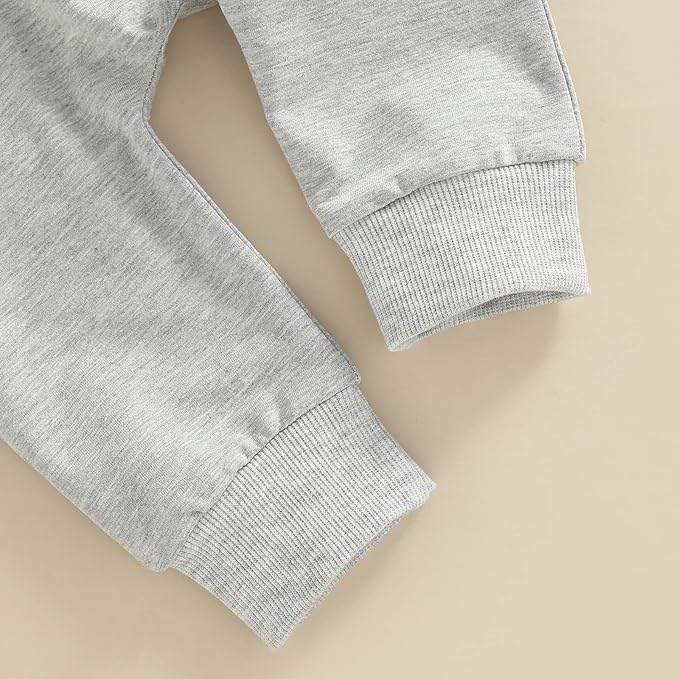 2Pcs Baby Boys Hoodie Tops Pants Set Dinosaur Deer Print Sweatsuit Fall Winter Outfits