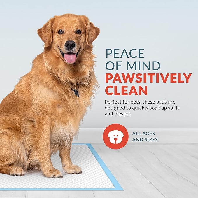 Disposable Adult Bed Pads 36" x 36" Blue Chucks for Elderly Seniors, Incontinence With Wetting Support, Soft and Absorbent, Leak Proof (Pack of 50)