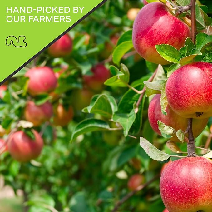 NUT CRAVINGS - Dried Apple Rings Slices, No Sugar Added - Chewy Soft Texture (80oz, 5 LB) Bulk Dry Fruits Packed Fresh in Resealable Bag - Sweet Healthy Snack, Naturally Grown, Vegan, Kosher