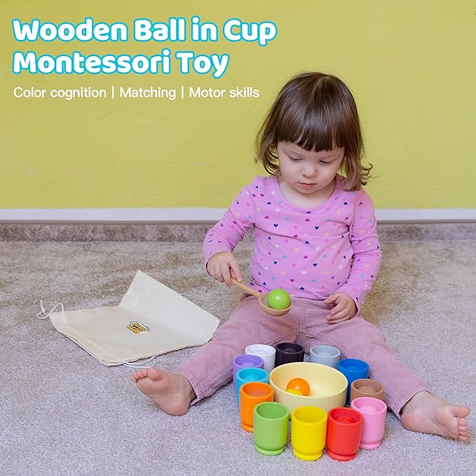 Ball in Cup Montessori Wooden Rainbow Color Sorting Toy for Toddlers - Preschool Color Matching - 12 Balls 40mm
