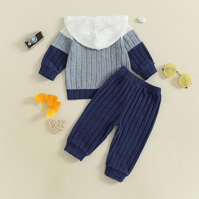 2Pcs Baby Boys Hoodie Tops Pants Set Dinosaur Deer Print Sweatsuit Fall Winter Outfits