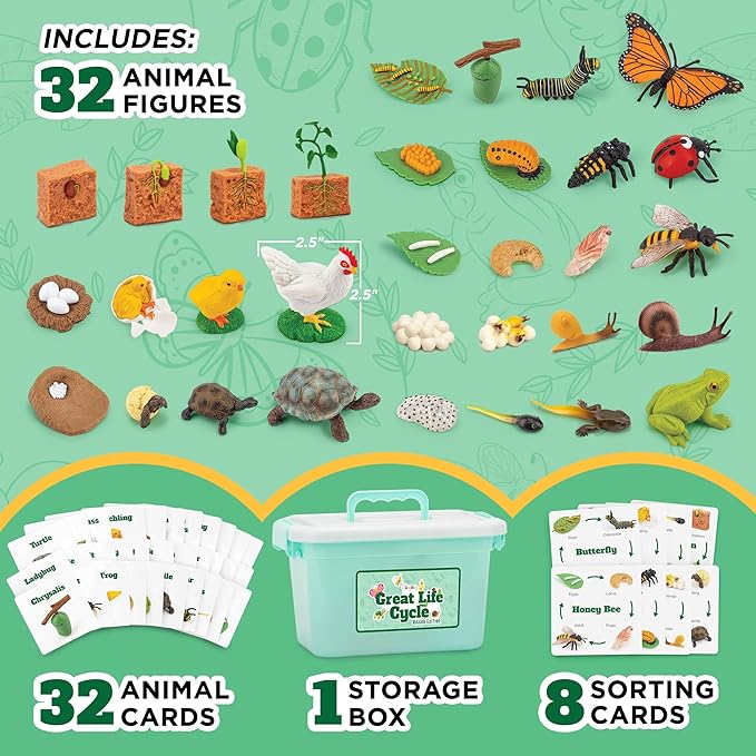 Life Cycle Animal Kit - 32 Piece Montessori Science Toy with Frog, Ladybug, Butterfly, Bee, Chicken, Turtle, Snail & Plant Figurines. Matching Game & STEM Educational Gift for Kids Ages 3–8