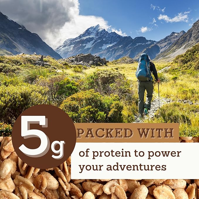 Grandy Organics Vanilla Cinnamon Granola, 10 Pound Bulk Bag, Certified Organic, Gluten Free, Non-GMO, Kosher, Plant Based Protein Granola