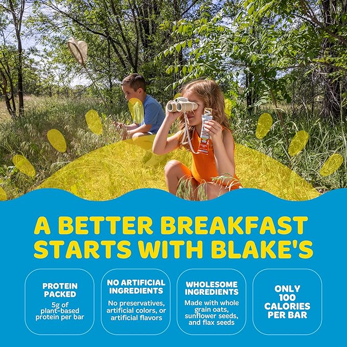 Blake's Seed Based Breakfast Bars with Protein — Cinnamon Roll (24 Count), 5g Clean Plant-Based Protein, Gluten Free, Nut Free, Dairy Free & Vegan, Healthy Snacks for Kids or Adults, School Safe