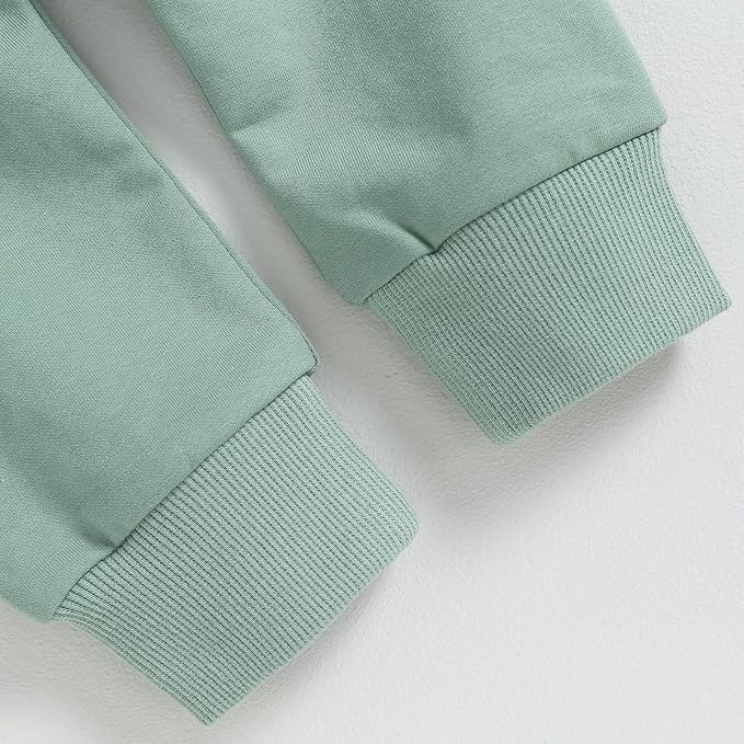 2Pcs Baby Boys Hoodie Tops Pants Set Dinosaur Deer Print Sweatsuit Fall Winter Outfits