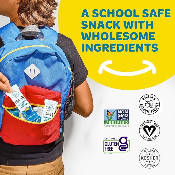 Blake's Seed Based Breakfast Bars with Protein — Blueberry (24 Count), 5g Clean Plant-Based Protein, Gluten Free, Nut Free, Dairy Free & Vegan, Healthy Snacks for Kids or Adults, School Safe