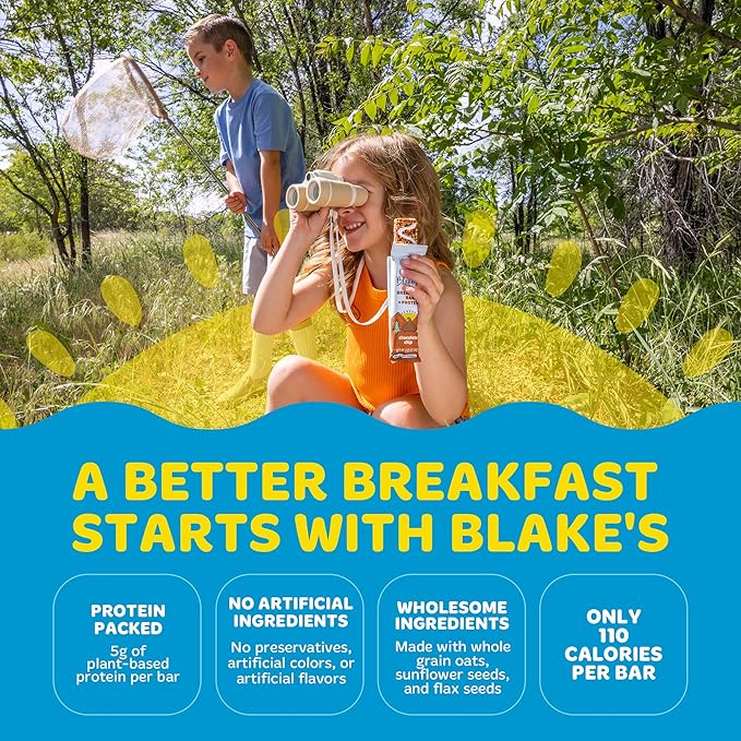 Blake's Seed Based Breakfast Bars with Protein — Chocolate Chip (24 Count), 5g Clean Plant-Based Protein, Gluten Free, Nut Free, Dairy Free & Vegan, Healthy Snacks for Kids or Adults, School Safe