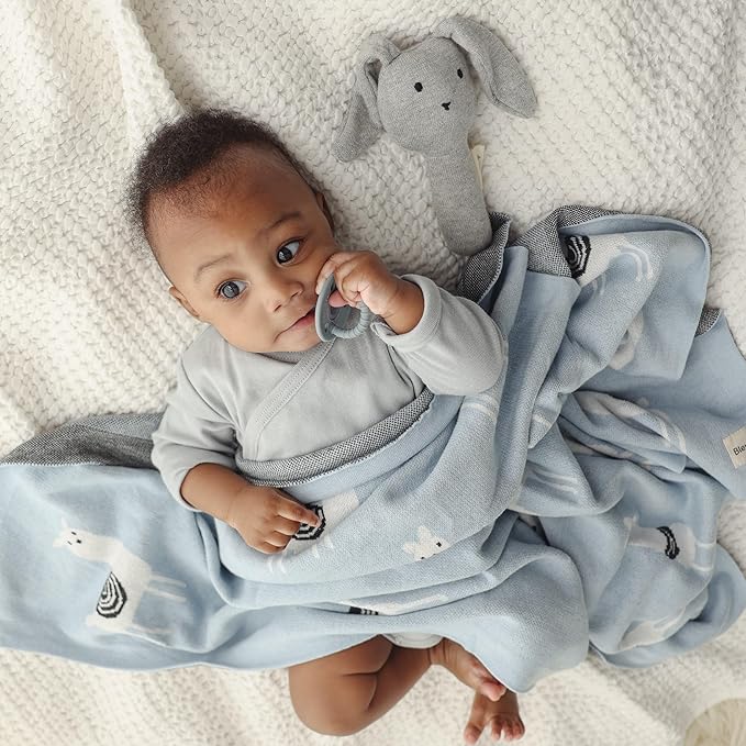 Baby Receiving Swaddle Stroller Blanket - 100% Fine Loomed Cotton Cozy Cuddle Crib Stroller Unisex Quilt Knit Blanket for Newborns Infants Toddler Boys and Girls (Llama - Baby Blue)