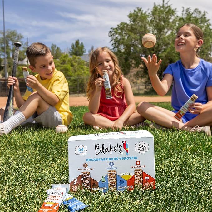 Blake's Seed Based Breakfast Bars with Protein — Variety Pack (24 Count), 5g Clean Plant-Based Protein, Gluten Free, Nut Free, Dairy Free & Vegan, Healthy Snacks for Kids or Adults, School Safe