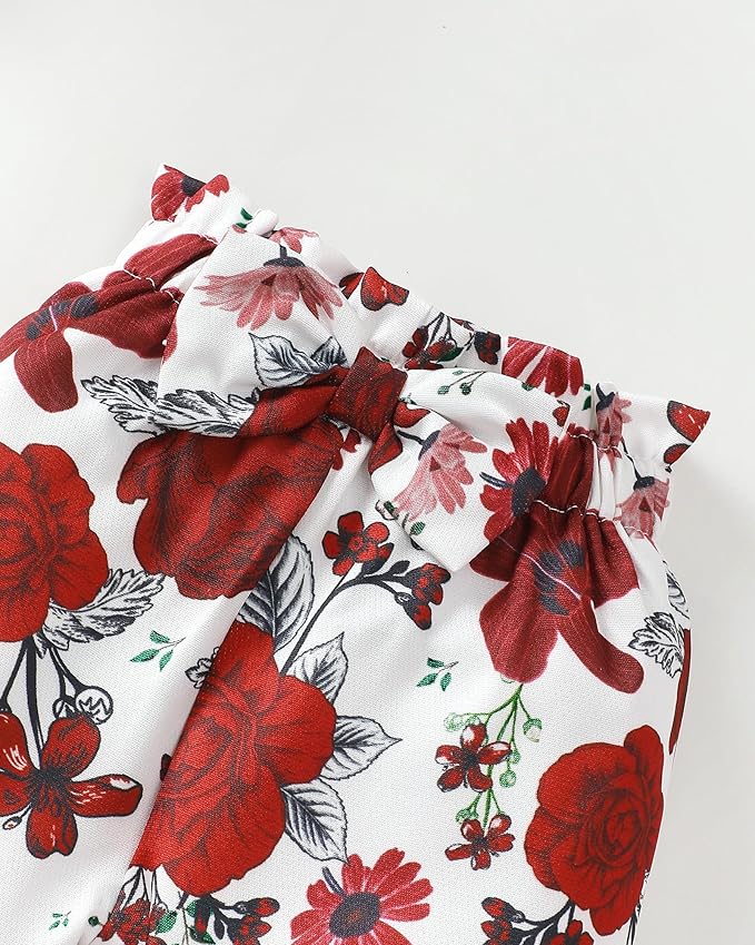 Infant Baby Girl Clothes Newborn Girl Outfit Long Sleeve Romper Pants Set Cute Baby Clothes for Girls Fall/Winter